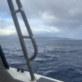 Hawaii Shark Encounters - Ride out to the mooring point. - Diving Near Me - Haleiwa, Hawaii Hawaii Shark Encounters - Ride out to the mooring point. - Diving Near Me - Haleiwa, Hawaii