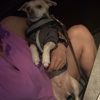 Emancipet - My bby - Veterinarians Near Me - Houston, Texas Emancipet - My bby - Veterinarians Near Me - Houston, Texas