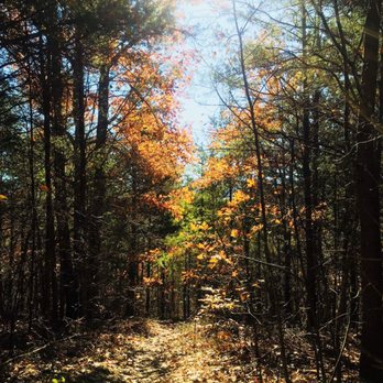 Pine Log Creek Trail - Hiking Near Me - Rydal, Georgia