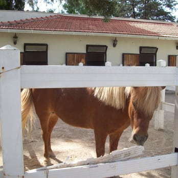 İzmir Şirinyer Midilli Parkı - Stadiums & Arenas Near Me - İzmir, 35 İzmir Şirinyer Midilli Parkı - Stadiums & Arenas Near Me - İzmir, 35