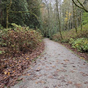 Lake Padden Park - Golf Near Me - Bellingham, Washington Lake Padden Park - Golf Near Me - Bellingham, Washington