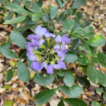 Cathedral Rock Nature Park - Parks Near Me - San Antonio, Texas Cathedral Rock Nature Park - Parks Near Me - San Antonio, Texas