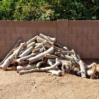 Arbor Care Tree Service - Future firewood and woodworking projects. - Tree Services Near Me Arbor Care Tree Service - Future firewood and woodworking projects. - Tree Services Near Me