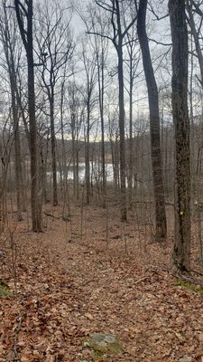 Cranberry Lake Preserve by null