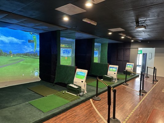 W Screen Golf by null
