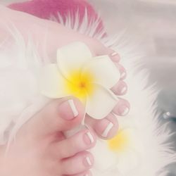Model Nails in Wichita gift card