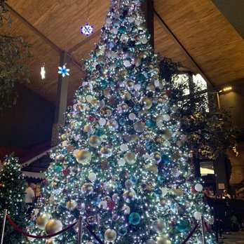 Great Wolf Lodge - Resorts Near Me - Grapevine, Texas Great Wolf Lodge - Resorts Near Me - Grapevine, Texas