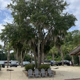 Chill under the Spanish moss Chill under the Spanish moss