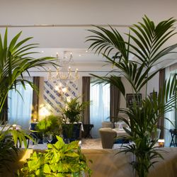 Belvedere - Belvedere