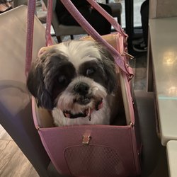 Ruff Ruff Paradise Pet Care & More