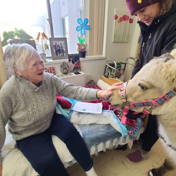 Kindhearted Mini Therapy - Animal Physical Therapy Near Me - Soap Lake, Washington