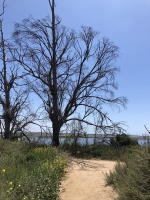 Wetlands & Wildlife Care Center by null