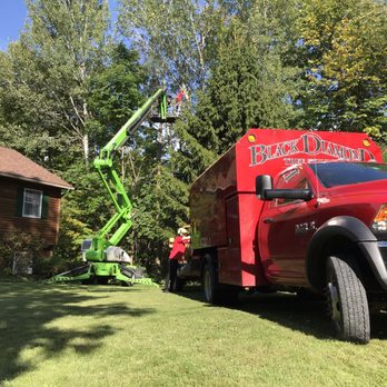 Black Diamond Tree Service - Truck, chipper, lift, Brendan (Bills son) and bill. This is how the work site look, clean when they were there and clean when they left! - Tree Services Near Me Black Diamond Tree Service - Truck, chipper, lift, Brendan (Bills son) and bill. This is how the work site look, clean when they were there and clean when they left! - Tree Services Near Me