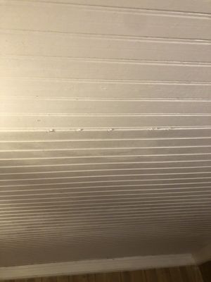 Coastal Roofing Specialists