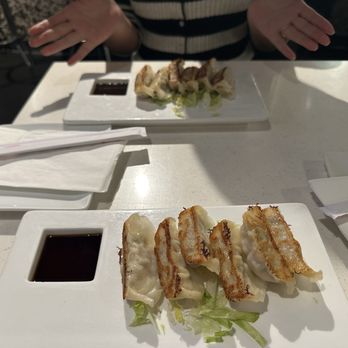 Kawa Japanese Restaurant - g Gyoza - Japanese Near Me - Milwaukee, Wisconsin