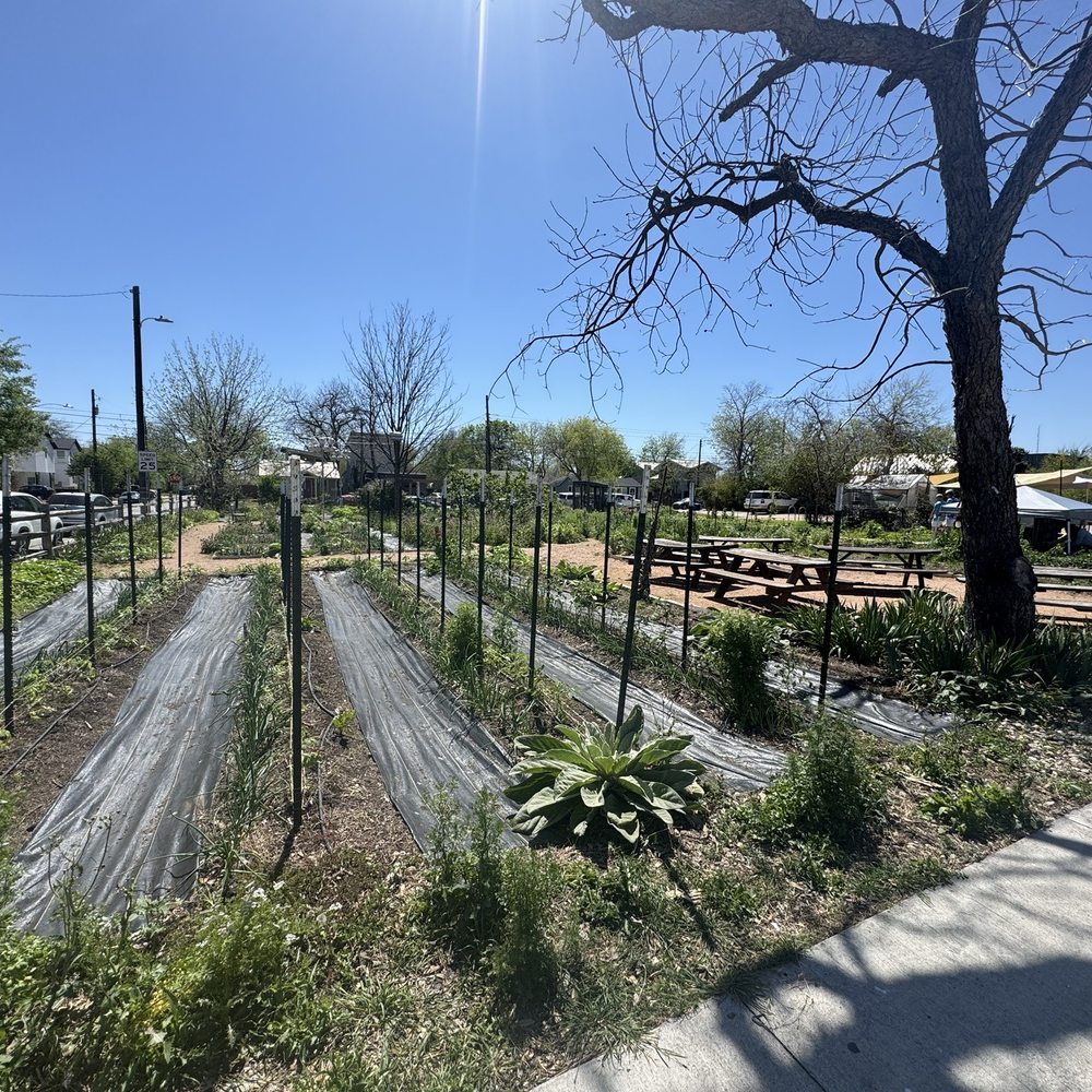 Este - This is their farm behind their restaurant - Seafood Near Me - Austin, Texas Este - This is their farm behind their restaurant - Seafood Near Me - Austin, Texas