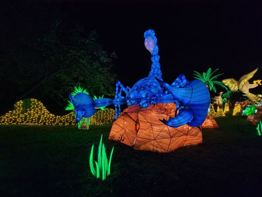 Franklin Park Zoo by null