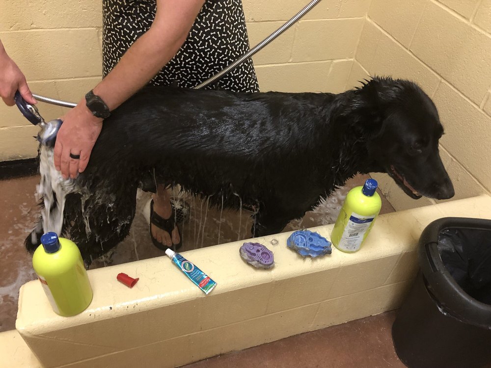 FEEDERS SUPPLY Updated August 2024 1303 US Hwy 127 S, Frankfort