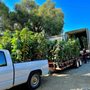 Photo of Edible Landscaping