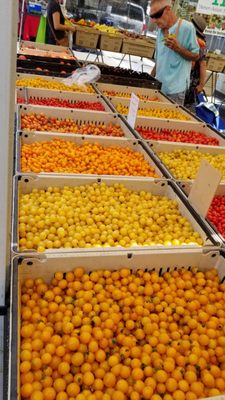 Santa Monica Saturday Pico Farmers Market by null