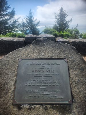 Oswald West State Park by null