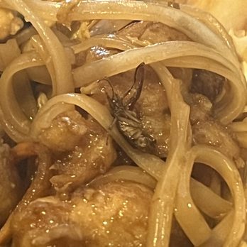 Me Con Bistro - Chicken pad Thai + extra 6 legged protein. - Chinese Near Me - Austin, Texas Me Con Bistro - Chicken pad Thai + extra 6 legged protein. - Chinese Near Me - Austin, Texas