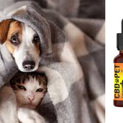 Northeast Vapor Supplies - CBD for Pets