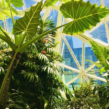 Amazon Spheres - Botanical Gardens Near Me - Seattle, Washington