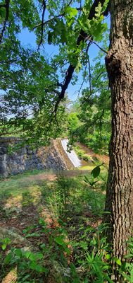 Paris Mountain State Park by null