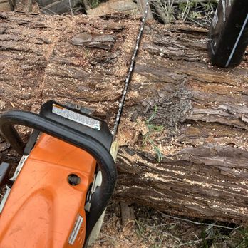 Villarreal Trees Services - Tree Services Near Me Villarreal Trees Services - Tree Services Near Me