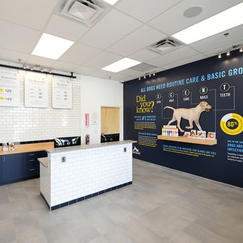 Scenthound Spring House - Lobby - Pet Groomers Near Me - Spring House, Pennsylvania Scenthound Spring House - Lobby - Pet Groomers Near Me - Spring House, Pennsylvania