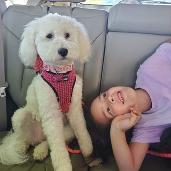 Doggie Dews - Pet Groomers Near Me - Casa Grande, Arizona