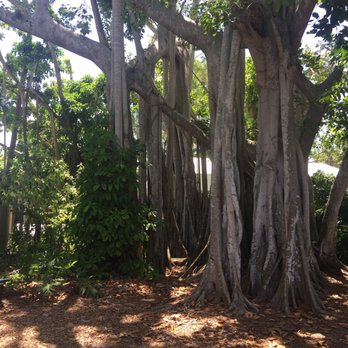 Naples Zoo - Zoos Near Me - Naples, Florida