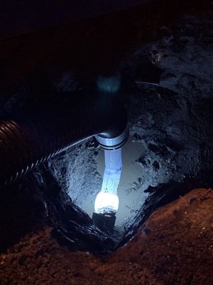 Pro Sewer Repair Logo
