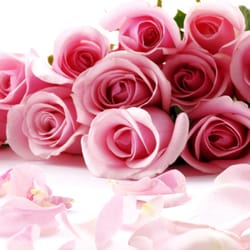 Bonita Flowers