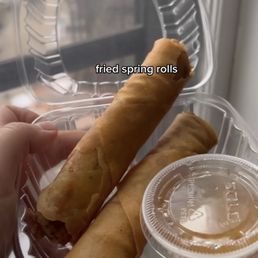 Fried Spring Rolls