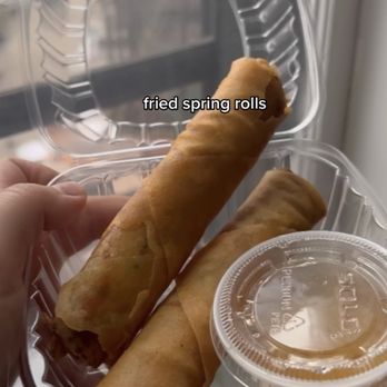 Grasshopper Restaurant - 1. Fried Vegan Spring Rolls - Chinese Near Me - Allston, Massachusetts