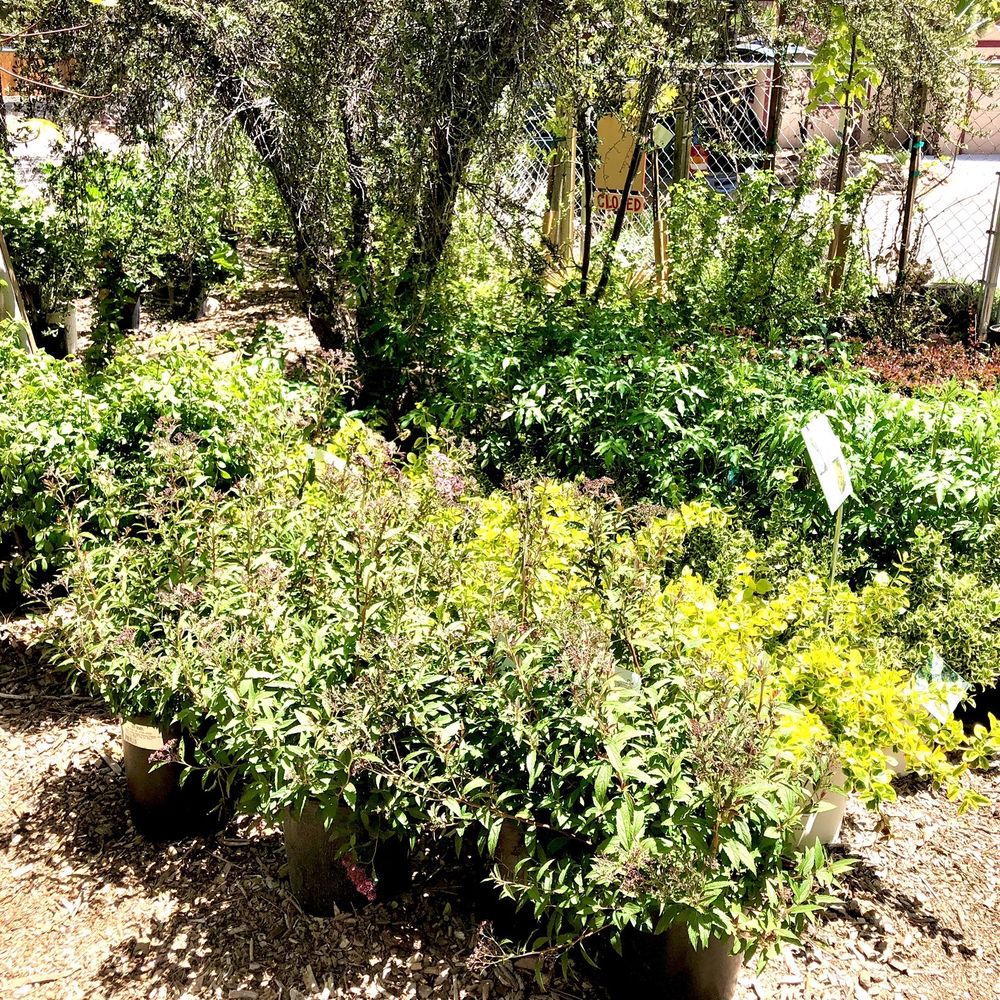 Hood Growers - Nurseries & Gardening Near Me - Big Bear, California