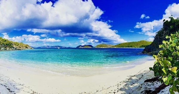 Virgin Islands National Park by null
