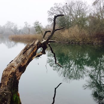Lodi Lake Nature Trail - Parks Near Me - Lodi, California