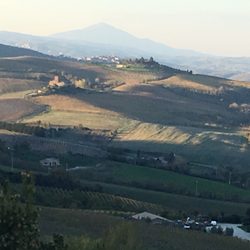 Altarocca Wine Resort - View from our Altarocca private balcony.