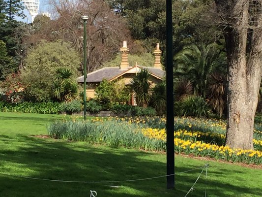 Fitzroy Gardens by null