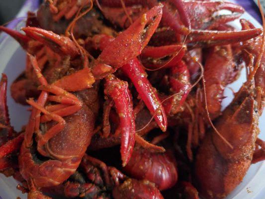 Captain White Seafood City by null