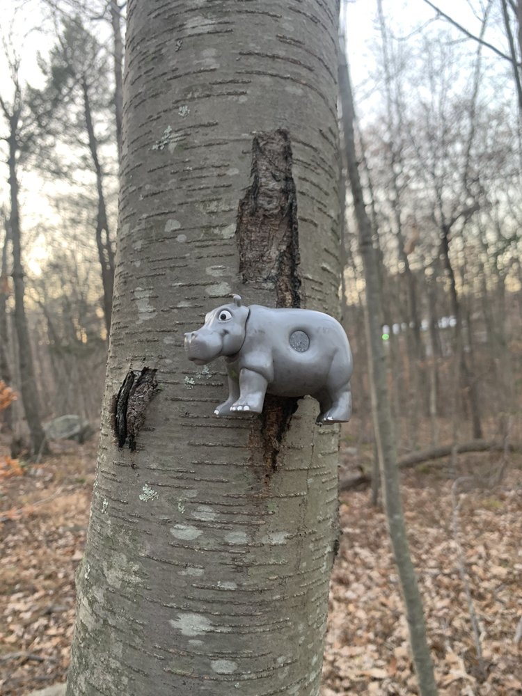 WEST MILFORD JUNGLE HABITAT 1 Airport Rd, West Milford, New Jersey Parks Yelp