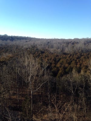 Rock Bridge Memorial State Park by null