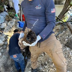 Properly Done Rooter & Plumbing Service