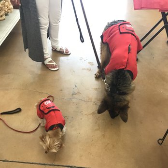 Pet Food Express - Pet Food Express has the best dog clothes in Carmel! - Pet Stores Near Me - Carmel, California