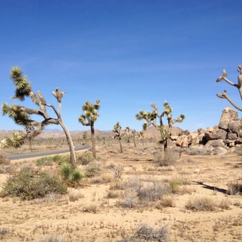 High Desert Motel - Hotels Near Me - Joshua Tree, California