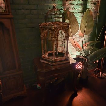 Mockingbird - This cage signify the name. - Dance Clubs Near Me - Denver, Colorado Mockingbird - This cage signify the name. - Dance Clubs Near Me - Denver, Colorado