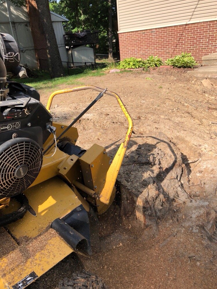 Clean Cut - tree service in Washington, IL